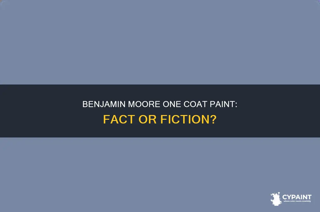 does benjamin moore have a one coat paint
