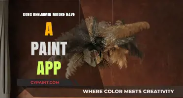 Benjamin Moore Paint App: Does It Exist and How to Use It?