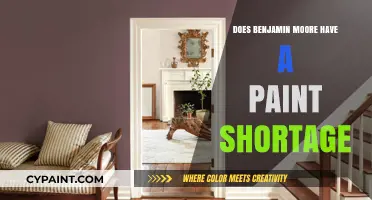 Is There a Benjamin Moore Paint Shortage? What You Need to Know