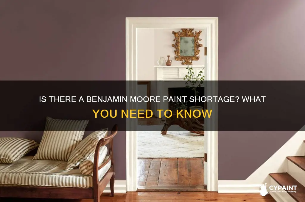 does benjamin moore have a paint shortage