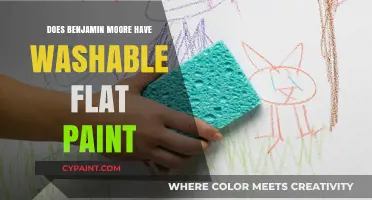 Benjamin Moore Washable Flat Paint: A Durable, Matte Finish Option?