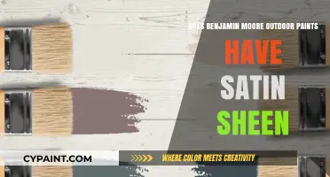 Benjamin Moore Outdoor Paints: Satin Sheen Availability Explained