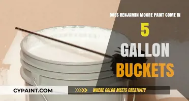 Benjamin Moore Paint: 5-Gallon Buckets Available?