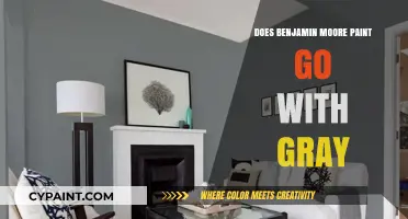 Benjamin Moore Paint: Perfect Pairings for Gray Color Schemes