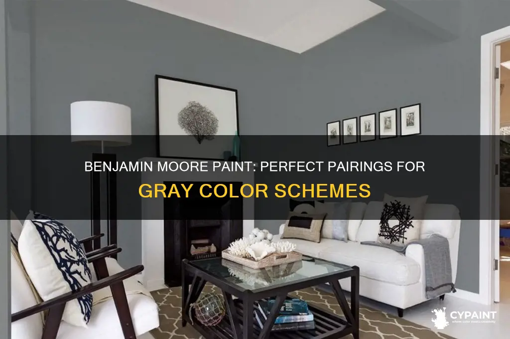 does benjamin moore paint go with gray