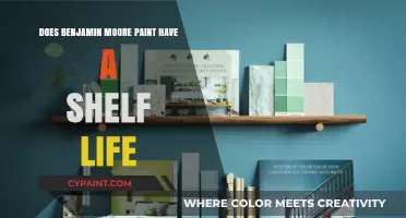 Benjamin Moore Paint Shelf Life: How Long Does It Last?
