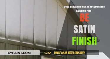 Benjamin Moore's Exterior Paint: Satin Finish Recommended?