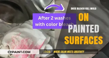 Bleach vs. Mold: Effective Solution for Painted Surfaces?
