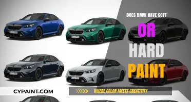 BMW Paint Durability: Soft or Hard Finish? Expert Insights Revealed