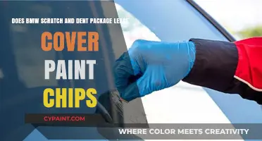 BMW Scratch and Dent Lease: Does It Cover Paint Chips?