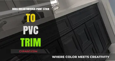 Breakthrough Paint Adhesion: Does It Stick to PVC Trim?
