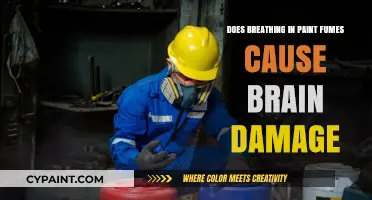 Paint Fumes and Brain Health: Uncovering the Hidden Dangers