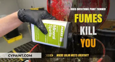 Breathing Paint Thinner Fumes: Lethal Consequences and Health Risks Explained
