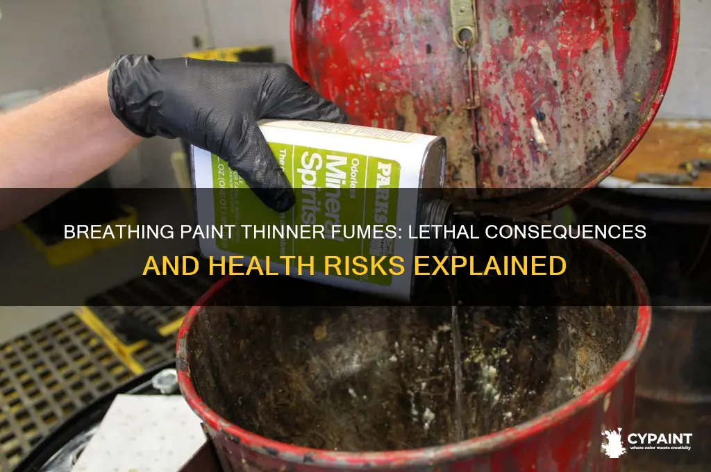 does breathing paint thinner fumes kill you