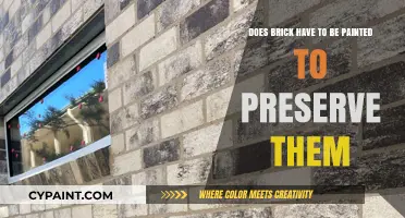 Preserving Brick: Paint or Not?