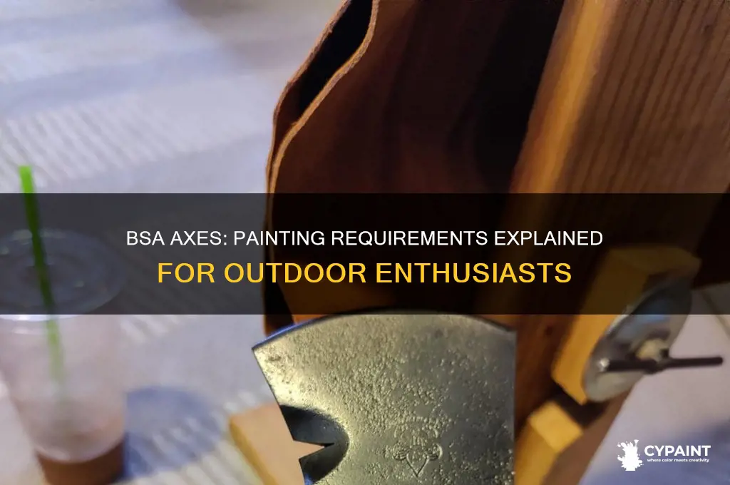 does bsa require axes to be painted