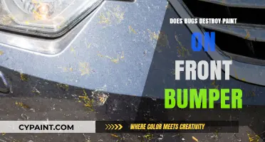 Can Bugs Damage Your Car's Front Bumper Paint? Find Out Here