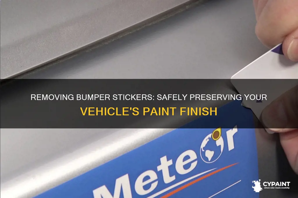does bumper stickers come off vehicle paint