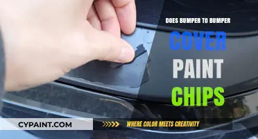 Bumper to Bumper Warranty: Does It Cover Paint Chips?