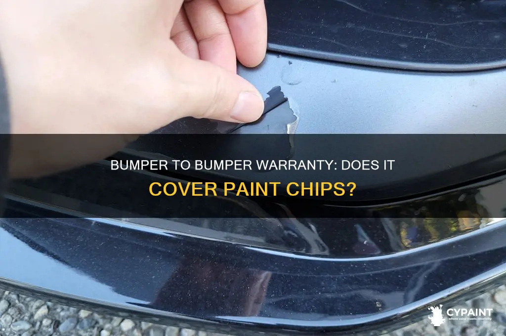 Sitemapcdatahttpsomobeldreferenzcomterrific Does Bumper To Bumper Warranty Cover Shocks Pictures