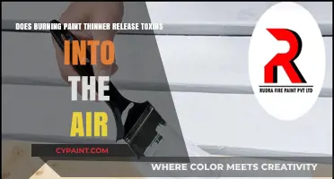 Burning Paint Thinner: Is It Toxic?