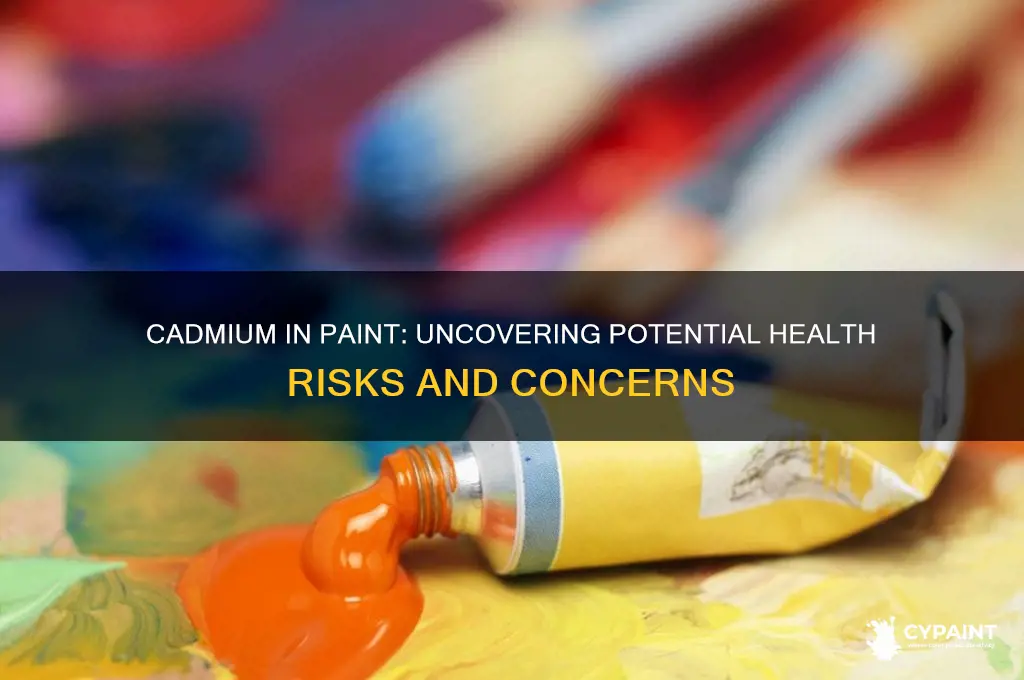 does cadmium in paint cause health problems