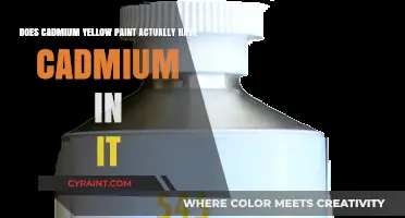 Cadmium Yellow Paint: Cadmium or Not?