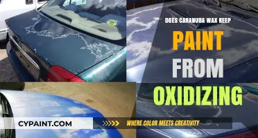 Carnauba Wax: Effective Shield Against Paint Oxidation?