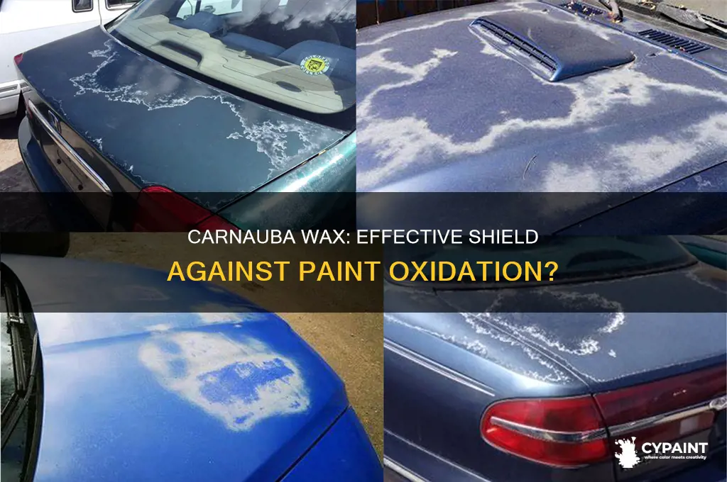 does caranuba wax keep paint from oxidizing