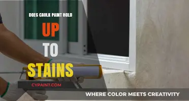 Caulk Paint Durability: Resisting Stains and Maintaining Appearance Over Time