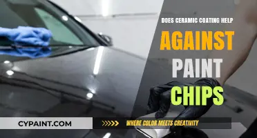 Ceramic Coating vs. Paint Chips: Protection or Prevention?
