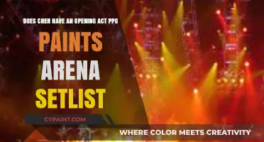 Cher's PPG Paints Arena Setlist: Opening Act Details Revealed
