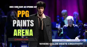 Who's Opening for Cher at PPG Paints Arena?