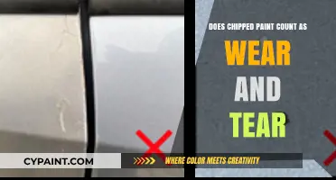 Chipped Paint: Normal Wear and Tear or Maintenance Responsibility?
