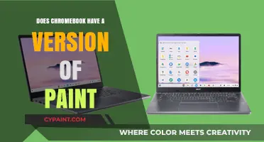 Chromebook's Creative Tools: Exploring Paint Alternatives for Digital Art