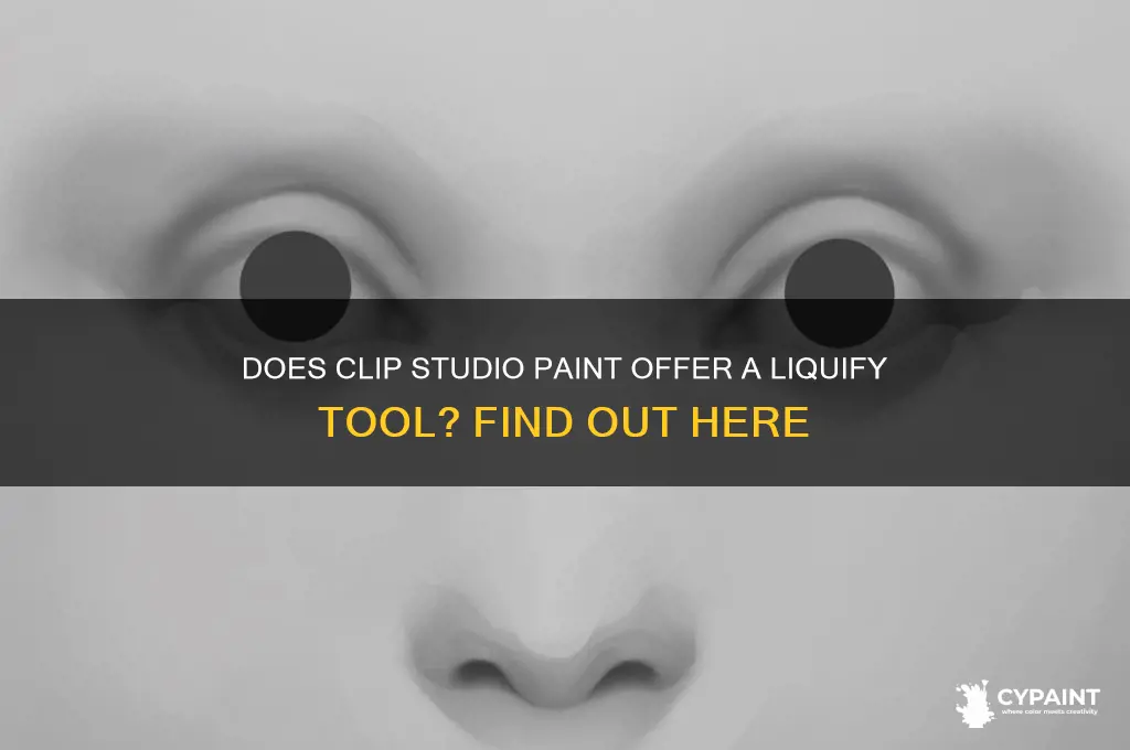 does clip paint have a liquify tool