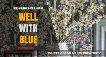 Collingwood Paint and Blue: A Perfect Match or Miss?
