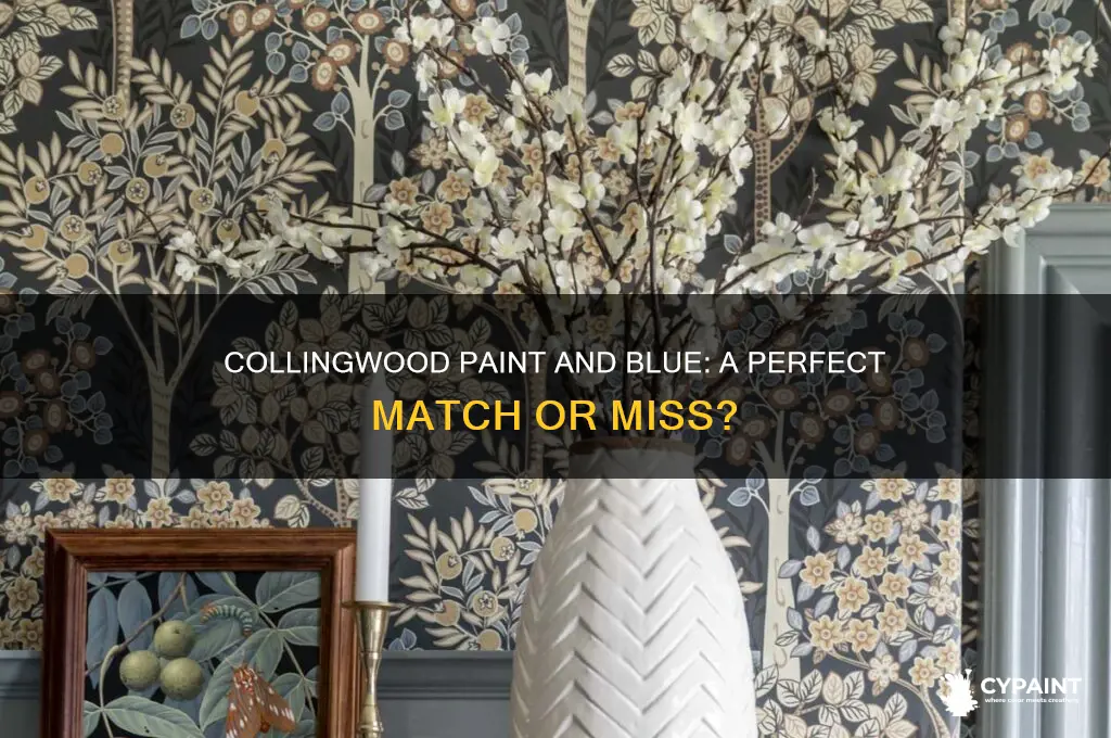 does collingwood paint go well with blue