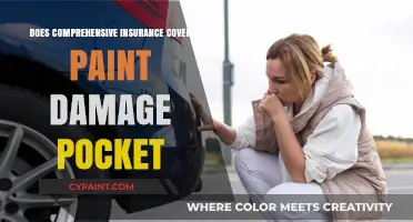 Does Comprehensive Insurance Cover Paint Damage? What You Need to Know
