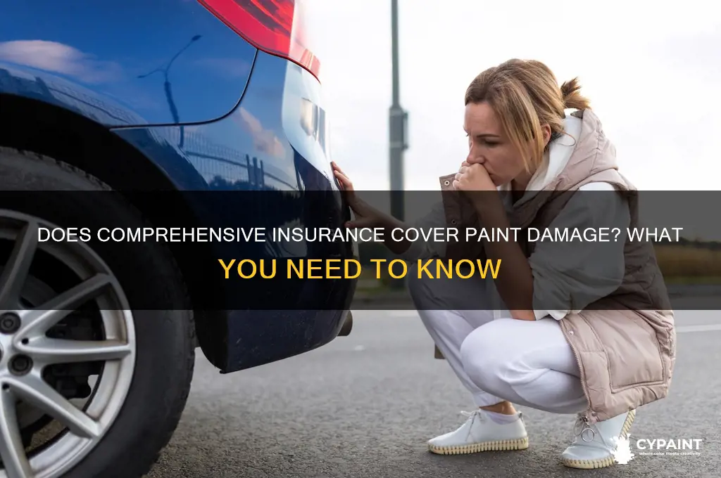 does comprehensive insurance cover paint damage pocket