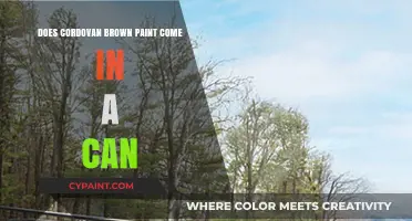 Exploring Cordovan Brown: Availability and Uses of This Rich Paint Shade
