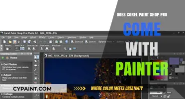 Corel Paint Shop Pro vs Painter: Bundled or Separate Software?