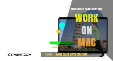 Corel PaintShop Pro on Mac: Compatibility and Alternatives Explained