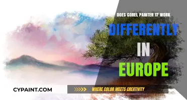Corel Painter 17 in Europe: Regional Differences Explored