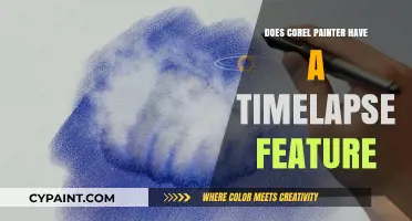 Corel Painter Timelapse: Exploring Recording and Playback Features