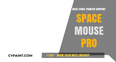 Corel Painter and SpaceMouse Pro: Compatibility and Creative Workflows