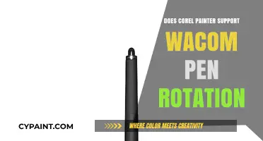 Corel Painter and Wacom Pen Rotation: Compatibility Explained
