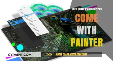 Corel PaintShop Pro vs. Painter: Bundled or Separate Software?