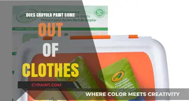 Removing Crayola Paint Stains from Clothes: Tips and Tricks for Success