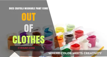 Crayola Washable Paint Stains: Effective Removal Tips for Clothes